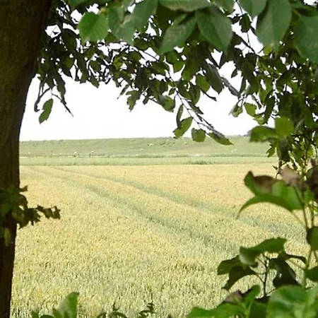 Achterndiek Im Koog Am Deich 公寓